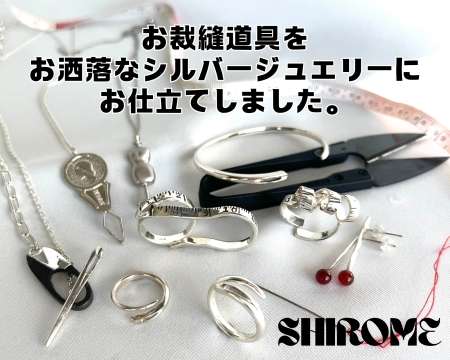 シロメ2