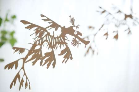 FAUNA FLAIR3